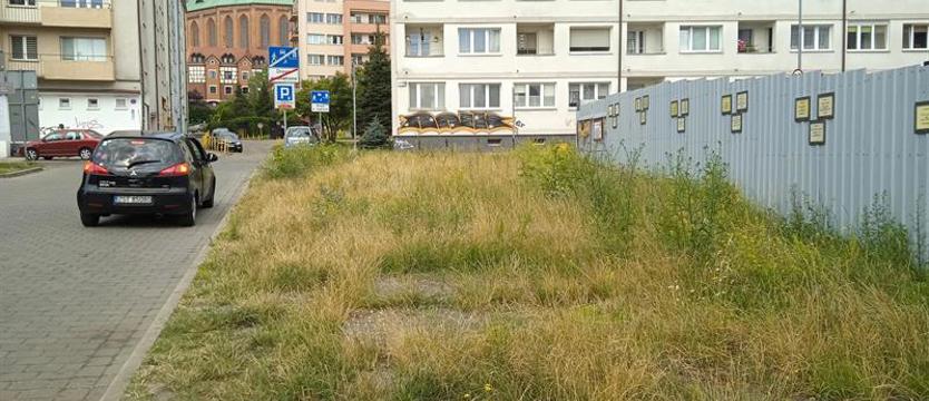Trzy kolory – resztę skryje ziemia