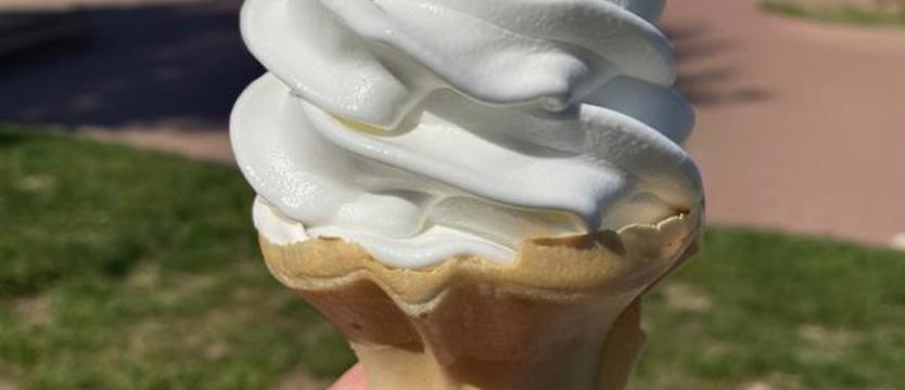 Lody pod kontrolą. Sanepid wykrył bakterie i brud