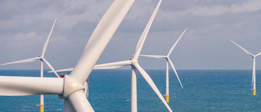 Energia z wiatru rozkręca gospodarkę Szczecina i regionu