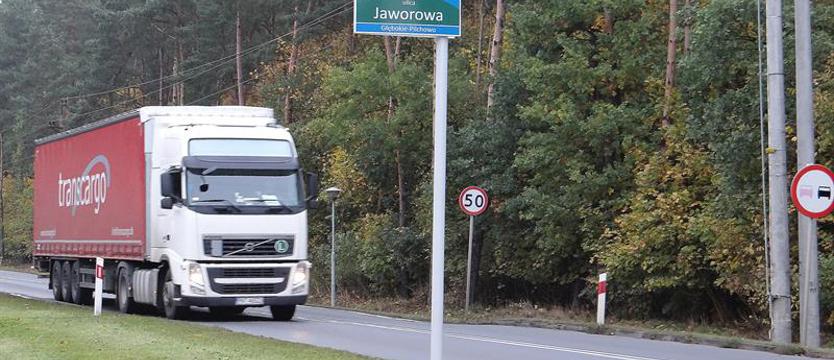Właściciele muszą pilnować czworonogich przyjaciół. Agresywny czy chce się bawić?