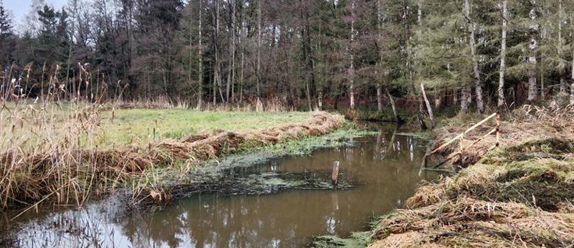 Głębokie wysycha. Dlatego tłoczą wodę rurociągiem do jeziora