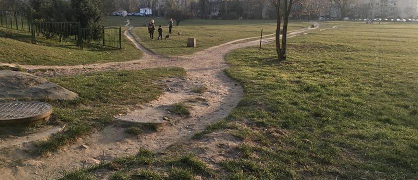 Czy radni zwiększą budżet na park? Dwie firmy na Psie Pole