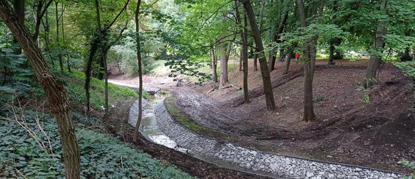 Park Chopina się zmieni. Miasto szuka wykonawcy