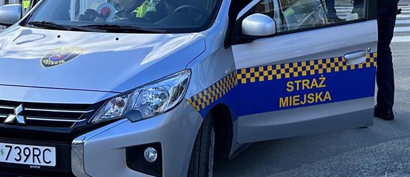 Śmiertelnie groźna niefrasobliwość. Pies na słońcu, w zamkniętym aucie