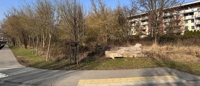 Zieleń dla każdego. Choćby skrawek, byle przy domu