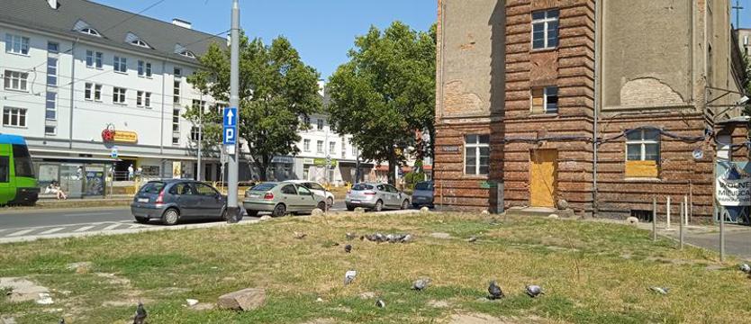 Mały i niezwykle kosztowny – zielony projekt „Turzyn”. Sto dni na park