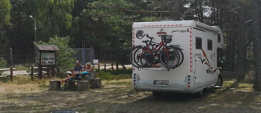 Kampery, czyli zakała nadmorskich miejscowości