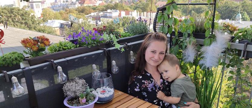 Cały Szczecin w kwiatach. Kolory i moc czułych wibracji