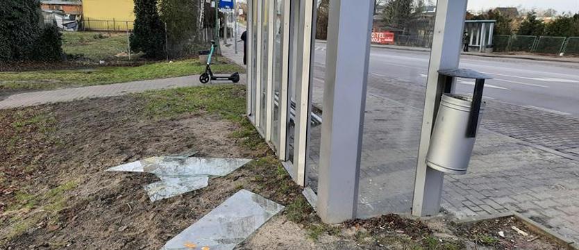Tłuką, mażą, zaśmiecają. Płacimy za wandali, którym na drodze stają… wiaty przystankowe