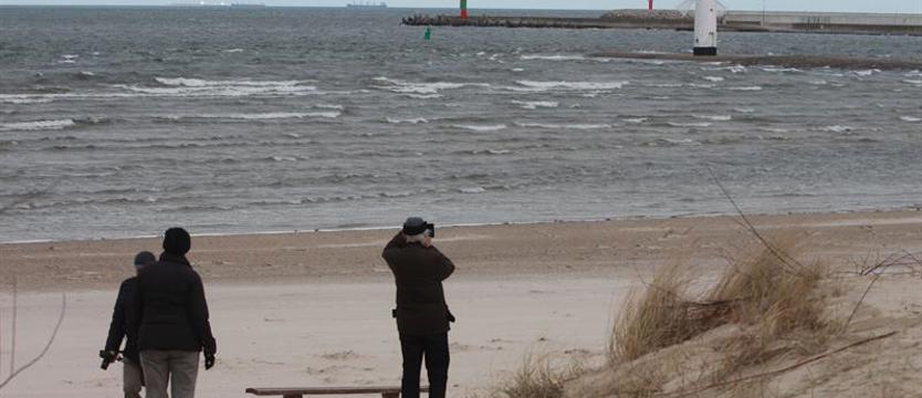 Kolejne ostrzeżenie meteorologiczne. Tym razem przed silnym wiatrem w regionie