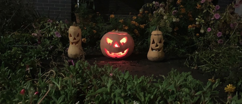 Psycholog: Wszystkich Świętych i halloween nie muszą ze sobą konkurować