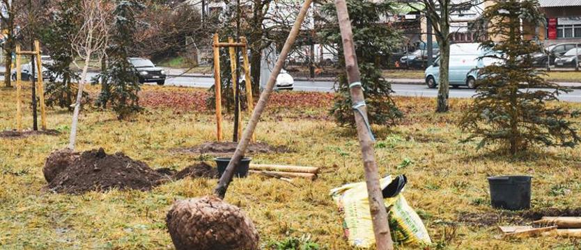 Śladem zielonych alei. „Rozwój infrastruktury i dbałość o przyrodę"