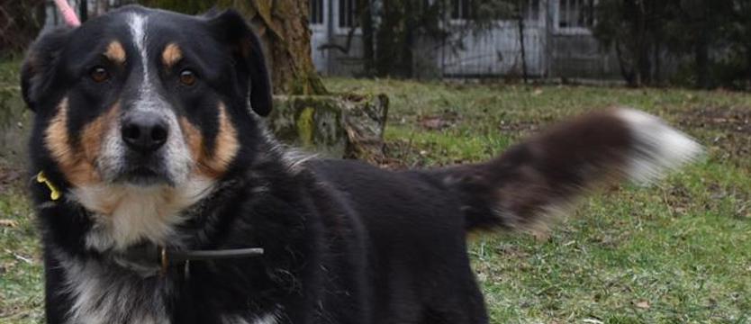 Rio czeka na rodzinę