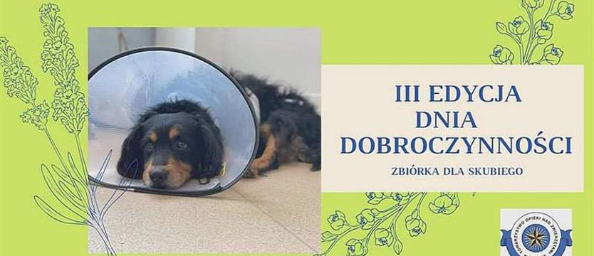 Skubi i moc dobrego