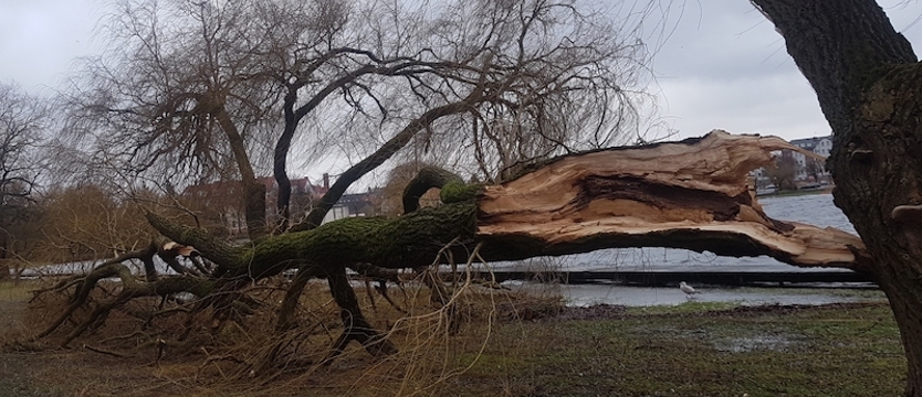 Nawałnica nad Nowogardem