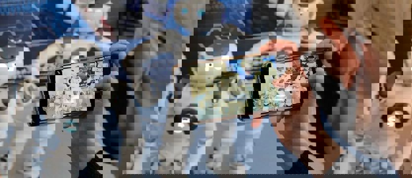 Dość ludzkie roboty w Akademii Morskiej