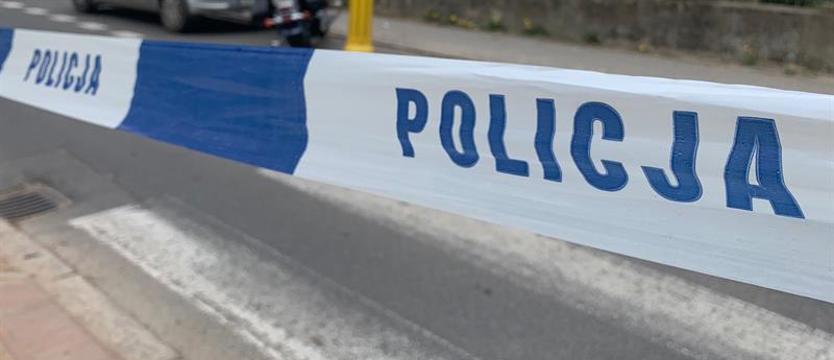 Śmiertelnie potrącił psa prowadzonego przez nastolatka. Kolejny kierowca poszukiwany przez policję