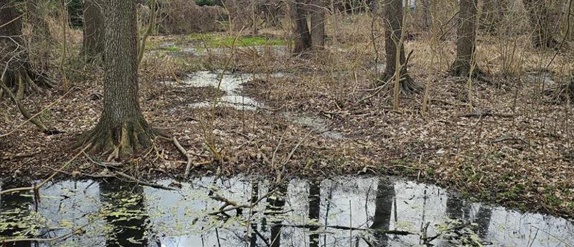 Cuchnie na Kwiatowej. Bez inwestycji nic się nie zmieni