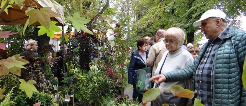 Czy pamiętacie o ogrodach? Weekend na Wałach Chrobrego