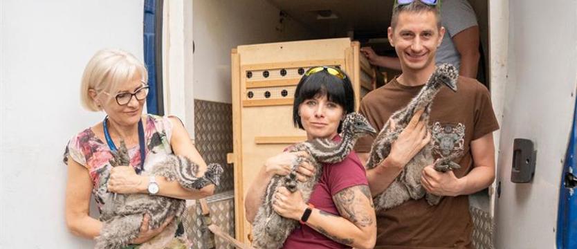 Szczecińskie emu pojechały do Poznania