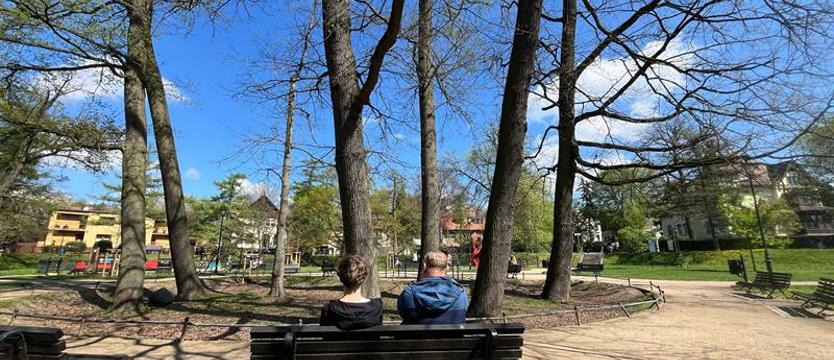 Ola, Tomasz i „Diabelski Głaz". Wiekowe drzewa i kamienny świadek historii