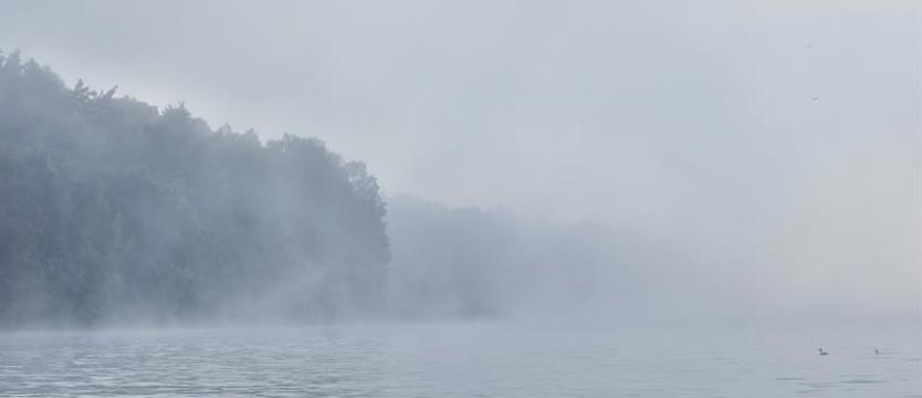 Ostrzeżenia przed gęstą mgłą w nocy z soboty na niedzielę