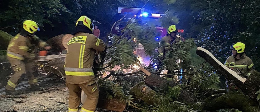 Nawałnica przeszła nad powiatem stargardzkim. Strażacy wyjeżdżali ponad 40 razy