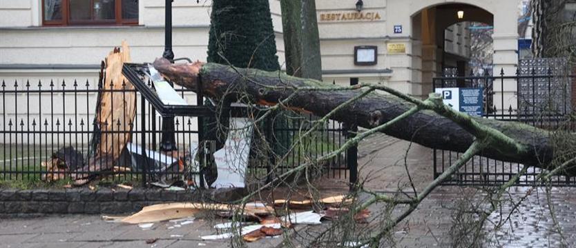 Ostrzeżenie meteorologiczne przed silnym wiatrem w Zachodniopomorskiem