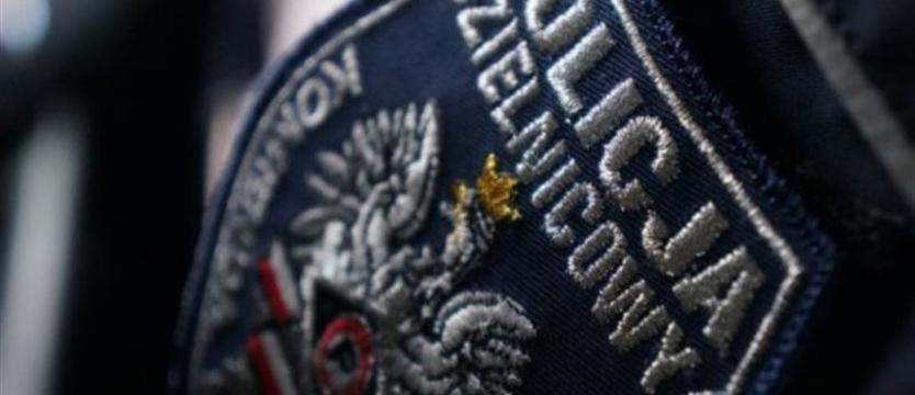 Przed wymiarem sprawiedliwości ukrył się... w tapczanie