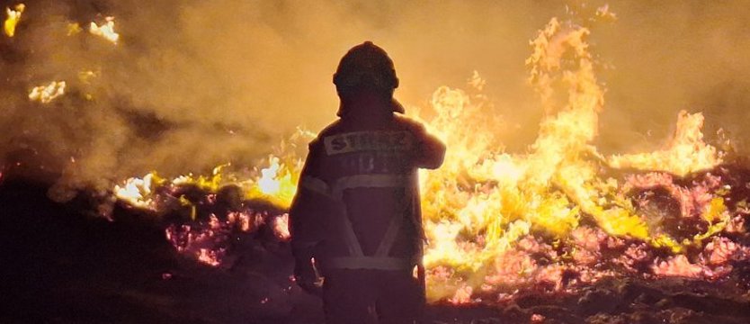 Płonęły trawy, trzciny i siano. Najwyższy stopień zagrożenia pożarowego w lasach