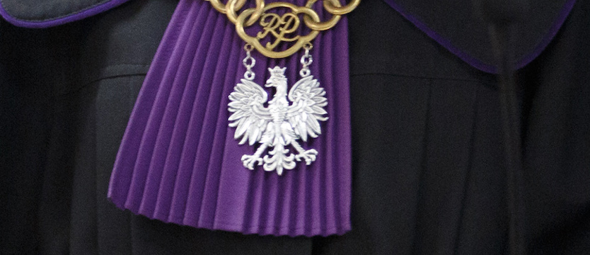 Masakra zwierząt w Bobolicach. Starszy mężczyzna brutalnie zabił szczeniaki