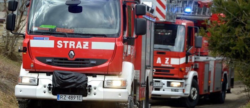 Pięć ofiar śmiertelnych, w tym dwoje dzieci, przygniecionych przez drzewa