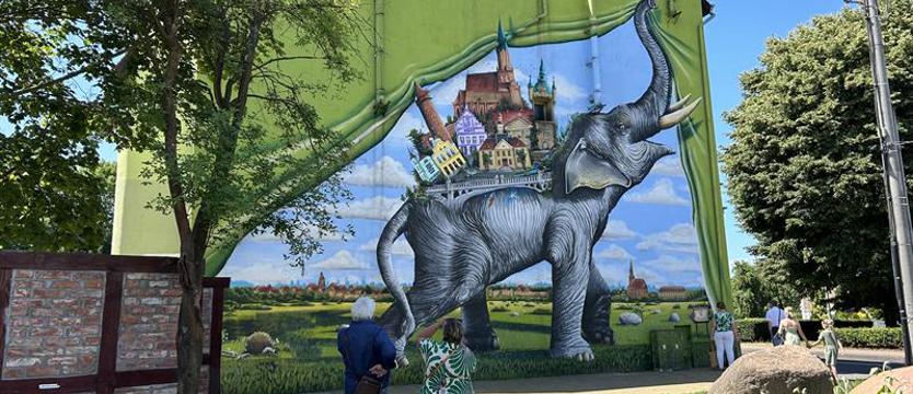 Co się dzieje? Od poniedziałku do środy