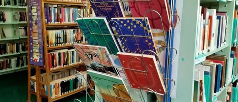 Powieść, komiks lub książka graficzna. Publikacje bez wykluczenia