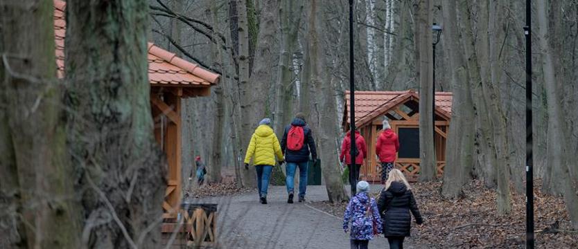 Spacer z rozpoznawaniem drzew i krzewów. Po szczecińskich parkach