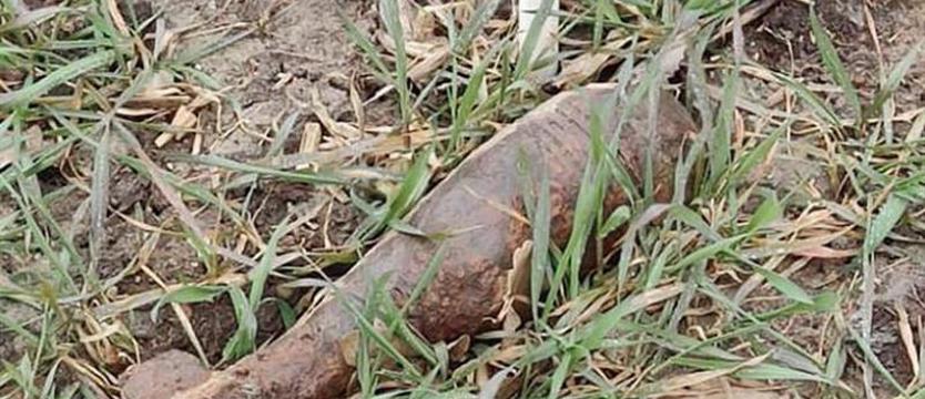 Rolnik znalazł niewypał. Akcja saperów na polu w Ustroniu Morskim