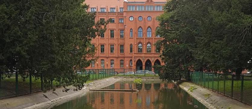 Plac przed wielką zmianą. Kolejne podejście do „Batorego”