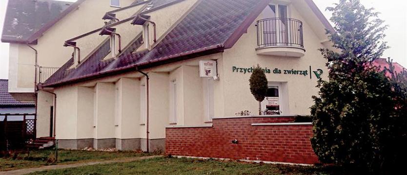 Całodobowy weterynarz. W trosce o ranne zwierzęta