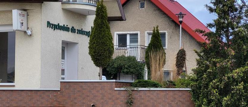 Zaopiekują się rannymi zwierzętami w Kołobrzegu