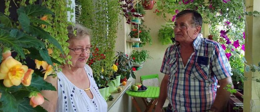 Najpięknieszy balkon i ogród ROD