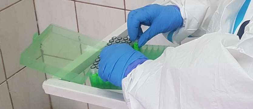 W piątek trochę ponad 100 zakażeń SARS-CoV-2 w kraju i 3 w regionie