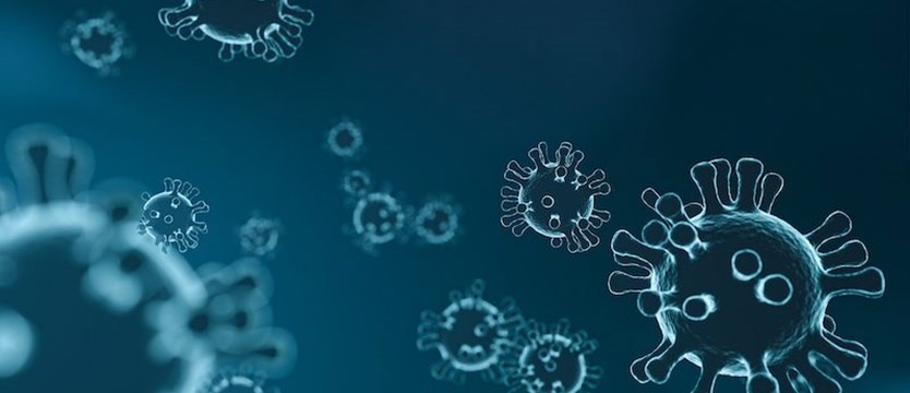 Ponad 10,5 tysiąca nowych zakażeń koronawirusem odnotowano w kraju