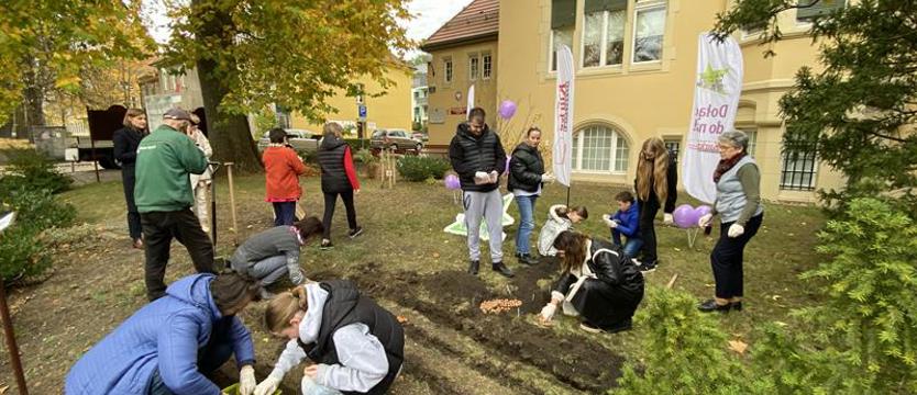 Muzyczny przystanek „Krokusowej rewolucji"