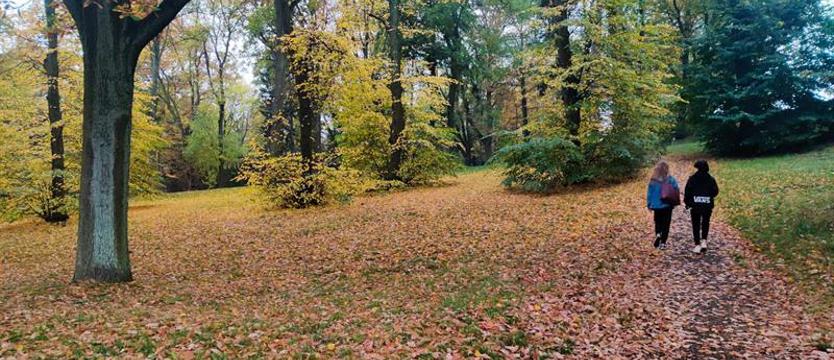 W niespełna rok zrewitalizują park
