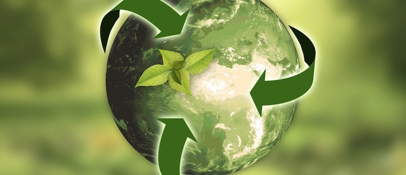 W Szczecinie wzrasta poziom recyklingu. Czy osiągniemy pułap 50 procent?