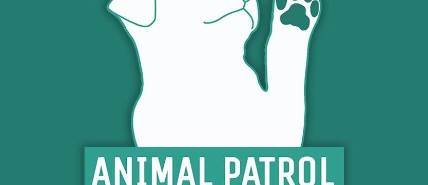 Inicjatywa, kampania i petycja do prezydenta. Animal Patrol w Szczecinie?