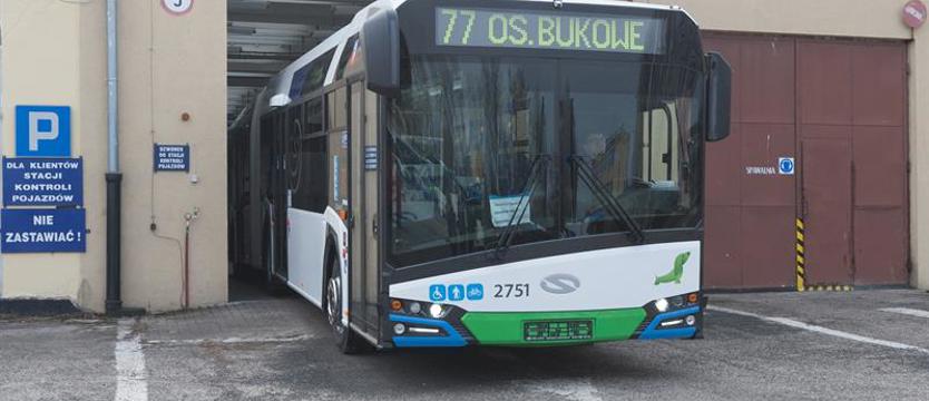 Poszukiwani stoczniowcy, nauczyciele, a nawet piłkarz ręczny