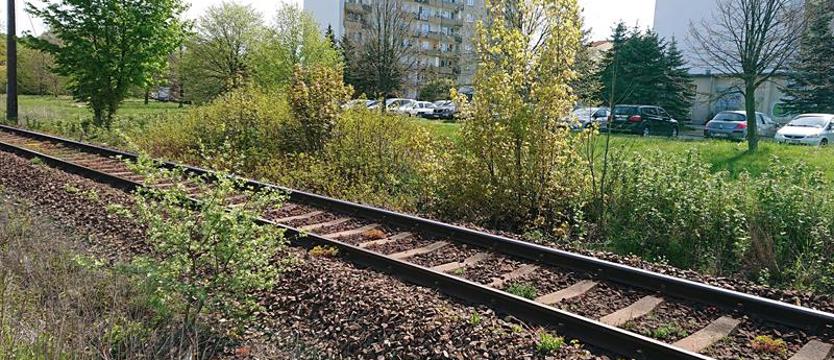 Szlabany denerwują radnego