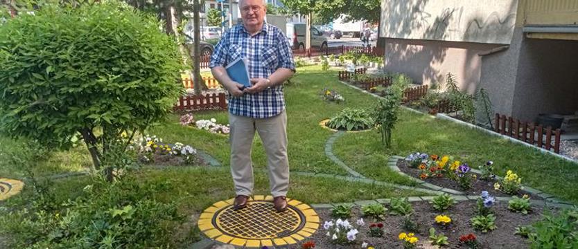 Wiele hałasu o nic? Zieleń mile widziana