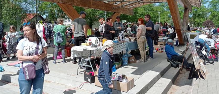 Pchli targ na Pogodnie. Wyzwanie dla poszukiwaczy skarbów
